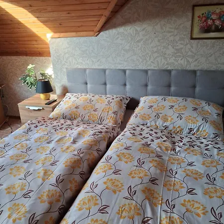 Krusnohorka Guest house *